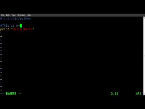Python tutorial