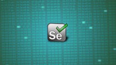 Selenium Starter program