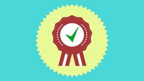 QA manual testing from the beginning