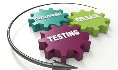 Software Testing Management