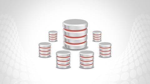 Oracle Database RAC Administration (12c and 19c)