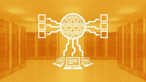 Database Management System