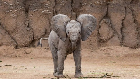 PostgreSQL Database Administration  on Windows/Linux- Part 2