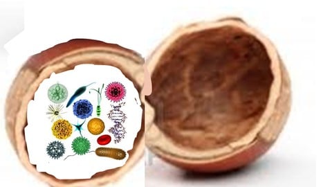 Basics of Medical Microbiology