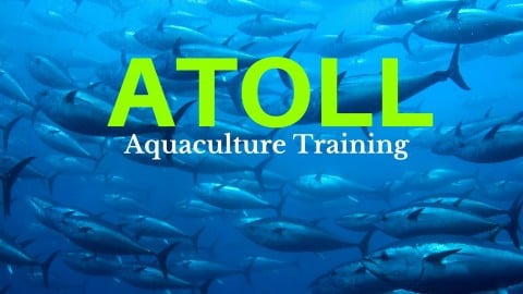 ATOLL PRO: Aquaculture, Aquaponics, Zebrafish, and more
