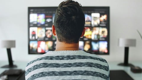 Foundations of Screenwriting: Writing for Netflix & TV