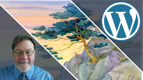 Beginner Wordpress Website Design and Wordpress Development