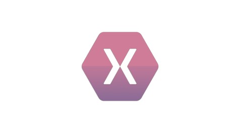 Become Expert in Xamarin Forms Layouts
